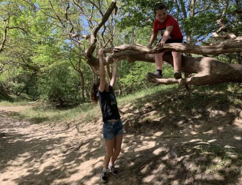 In de media: e-book ‘Wandelen met kinderen’